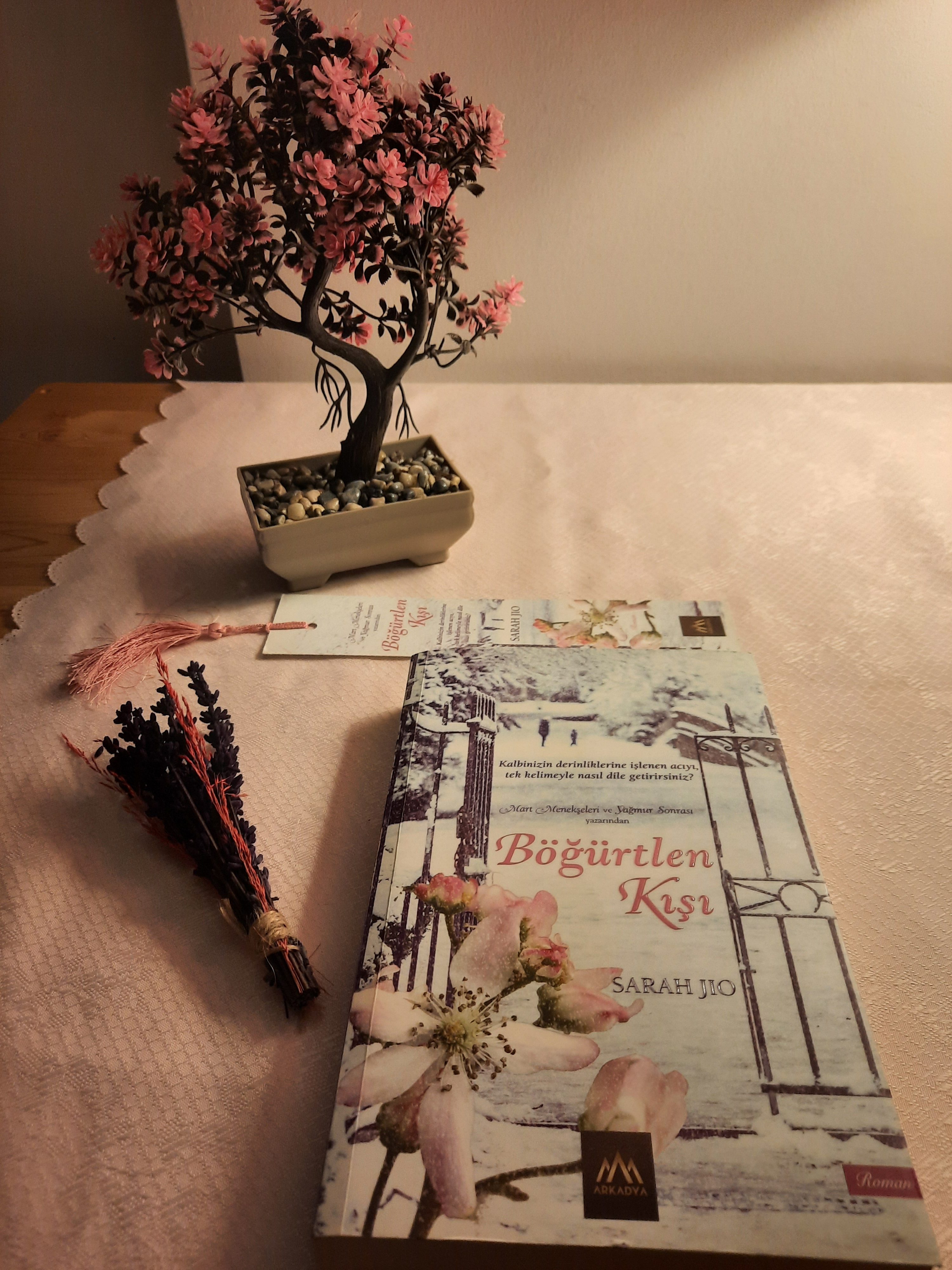 BÖĞÜRTLEN KIŞI – SARAH JIO