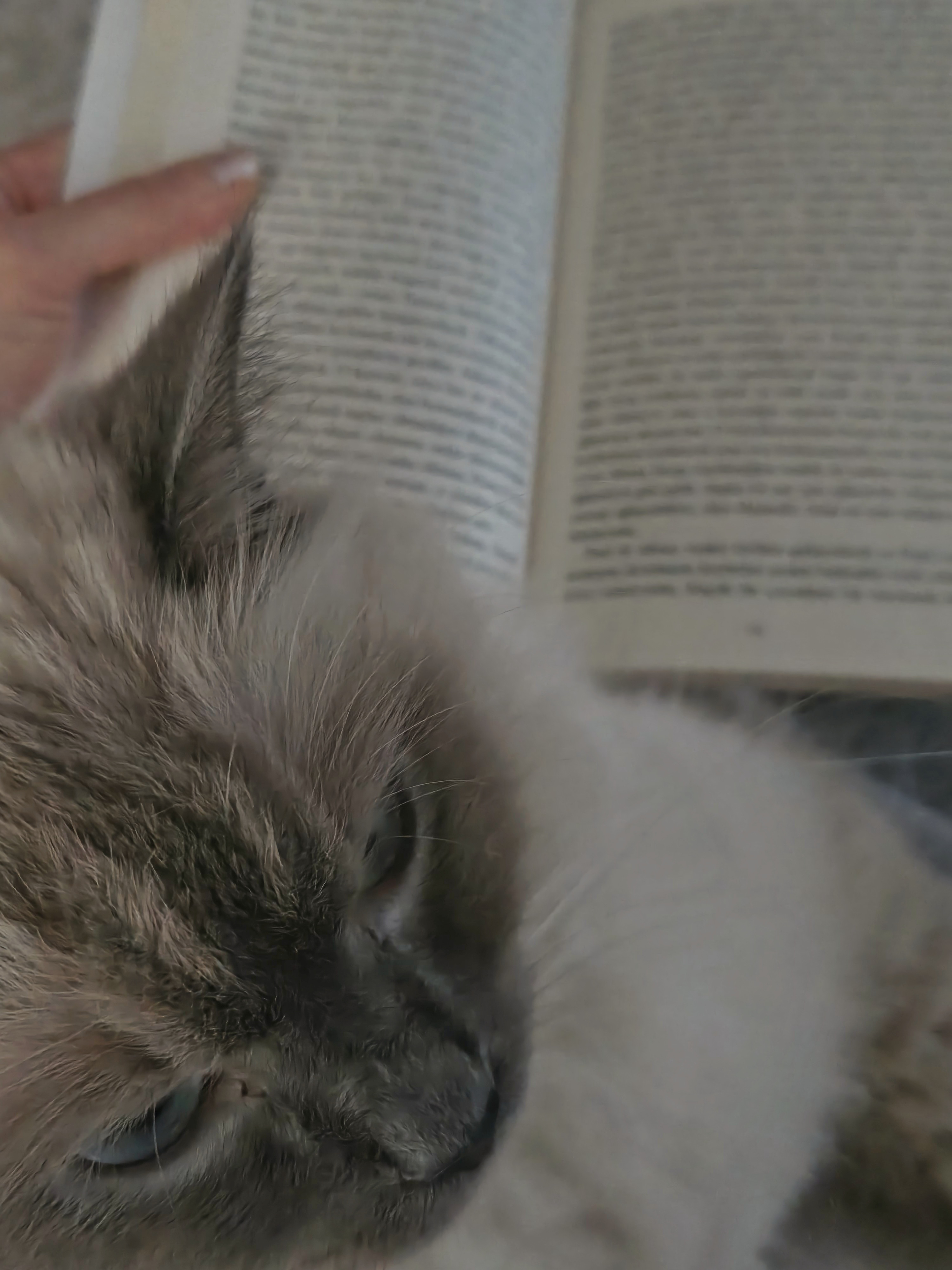 Sevginin Anlamı ve Türleri