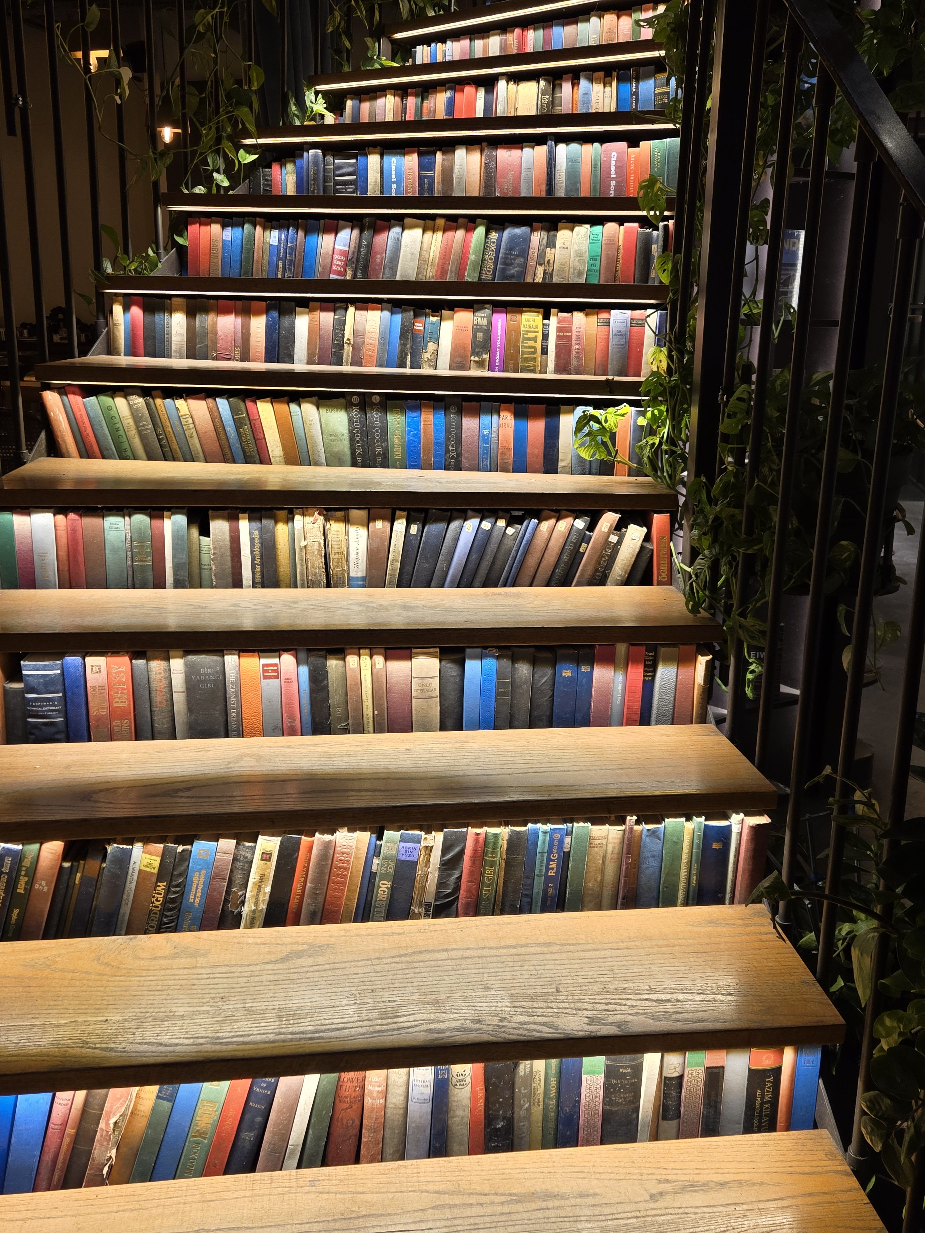 Mart Ayı Aktivitelerim: