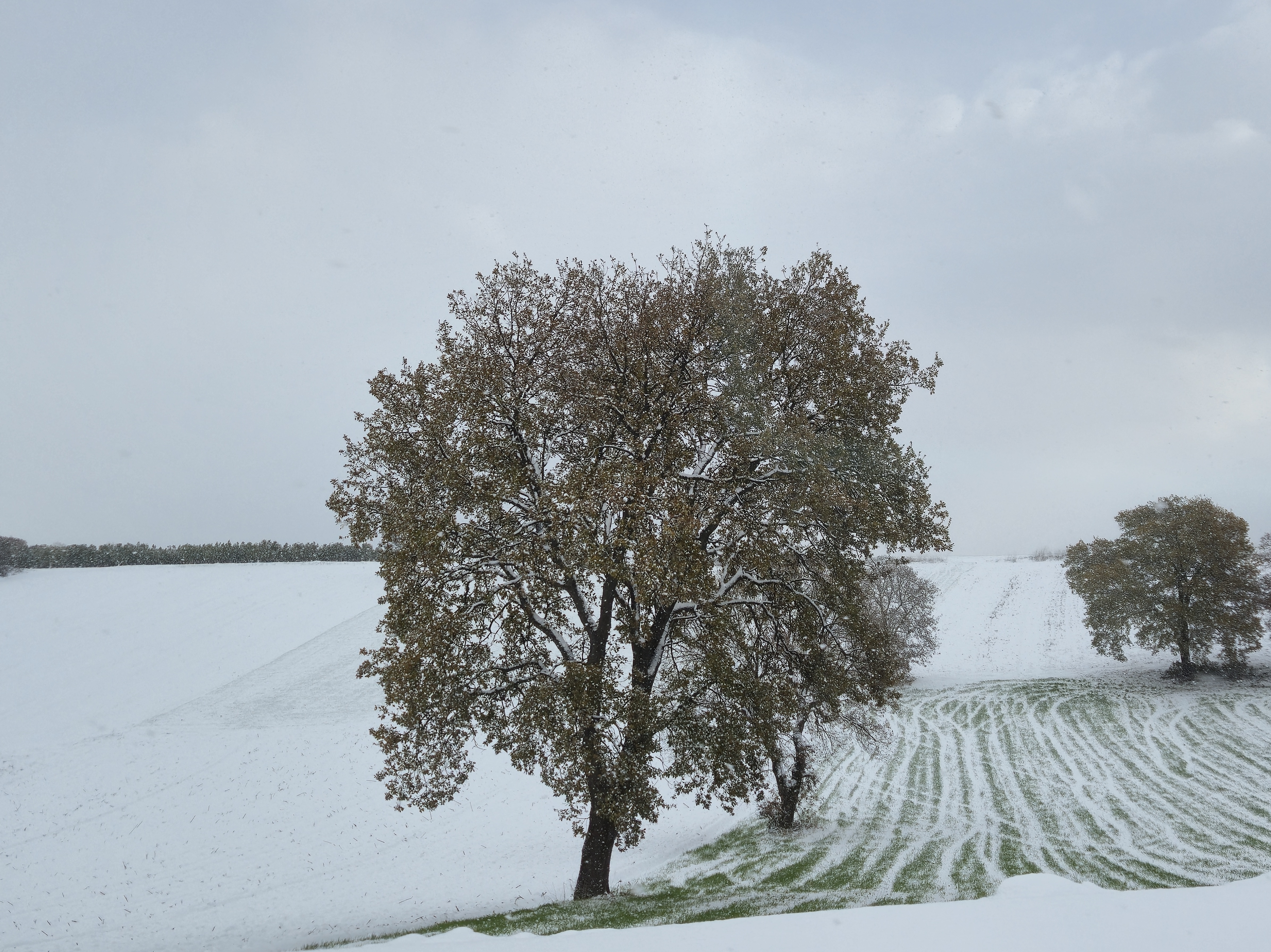 Kar Yağdığında Hissettiğimiz O Büyülü Huzur: Nedenleri ve Anlamı